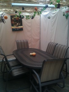 The Badzin Sukkah 2010
