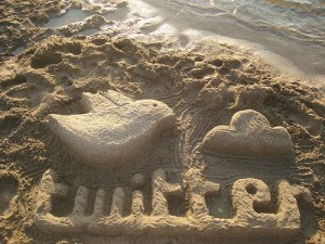 http://www.flickr.com/photos/rosauraochoa/3939487692/