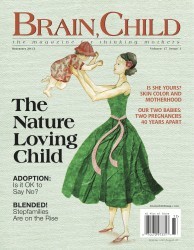 Brain, Child Magazine Cover